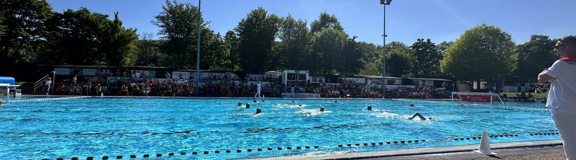 Sommer-News vom Beckenrand