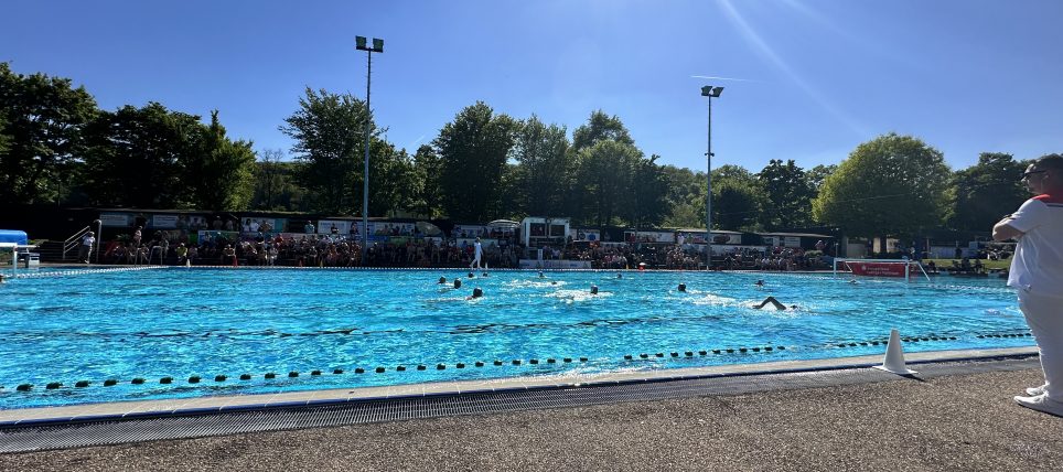 Sommer-News vom Beckenrand
