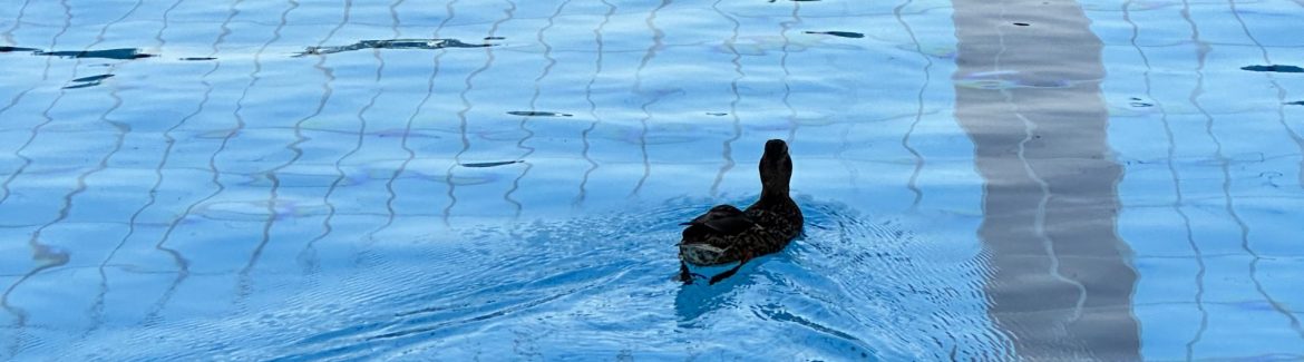 Saisoneröffnung und Tag der offenen Tür am 01.05.2026