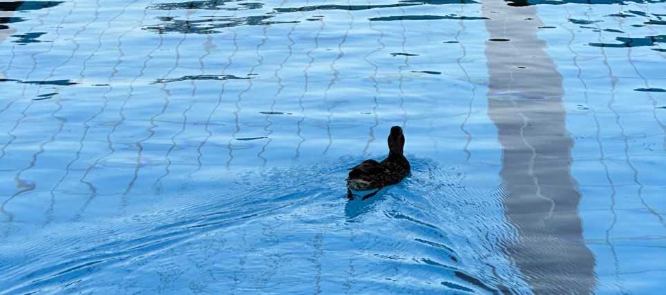 Saisoneröffnung und Tag der offenen Tür am 01.05.2026