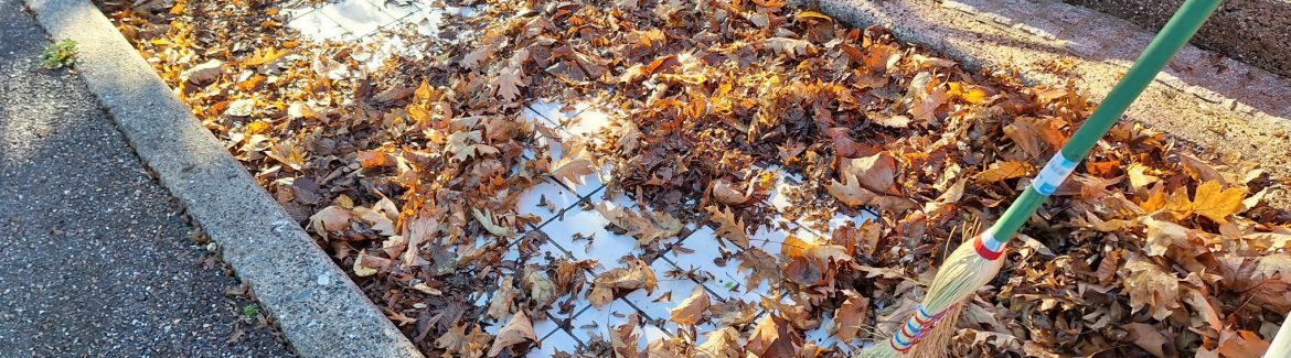 Herbstputz und Herbstfest am Samstag!